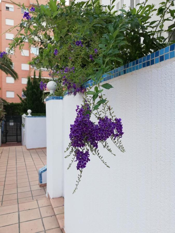 Casablanca Mediterranean Benidorm Esterno foto